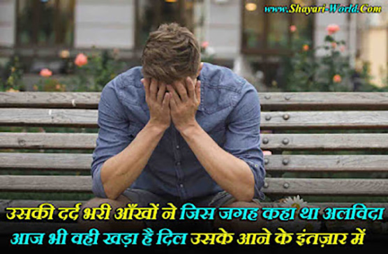  Alvida Shayari for Farewell in Hindi