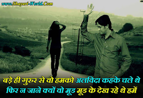 Alvida Shayari in Hindi For Friends