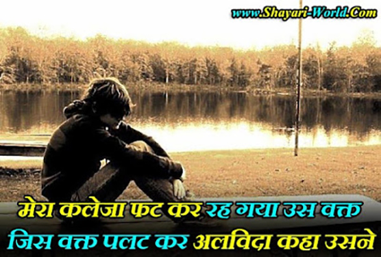 Alvida Shayari 2 Line in Hindi