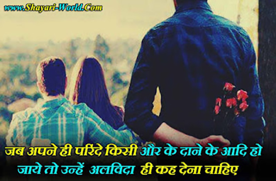 DHOKA Alvida Shayari in Hindi