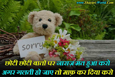 Sorry Shayari in hindi husband