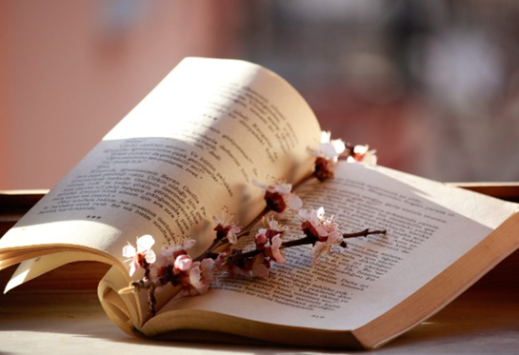 A Global Gathering of Verse: Exploring Shayari and Poetry from Around the World